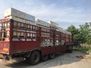 全國(guó)道路貨物運(yùn)輸行業(yè)動(dòng)態(tài)與商情資訊概覽